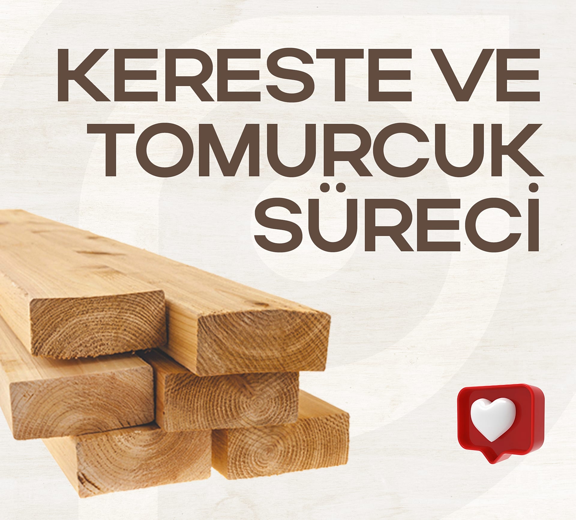 Kereste ve Tomruk Süreci